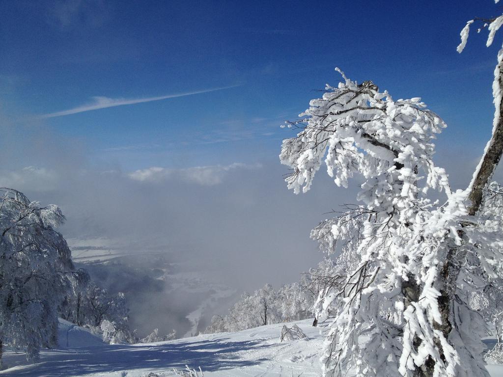 Sawataya Nozawaonsen Bagian luar foto